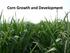 Corn Growth and Development