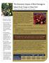The Economic Impact of Bird Damage to Select Fruit Crops in New York
