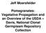 Jeff Moersfelder. Pomegranates: Vegetative Propagation and an Overview of the USDA Davis, National Clonal Germplasm Repository Collection
