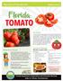 TOMATO. Florida. Harvest of the Month. Middle School. Classroom Recipe Meet Your Farmer. Blender Garden Salsa 1 Serving Per Student.