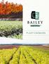TABLE OF CONTENTS. About Us. Bailey Nurseries Introductions. Product Lines. Consumer Brands. Trees. Shrubs & Vines. Evergreens. Roses.