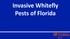 Invasive Whitefly Pests of Florida