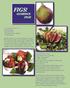 FIGS! GLORIOUS FIGS! Figs Wrapped in Bacon 6 thin slices bacon 3 oz. Goat cheese 1 Tbs fresh rosemary, chopped 12 small ripe figs
