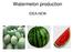 Watermelon production IDEA-NEW