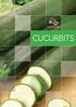 Cucumber. Honeydew. Gremlin (Slicer Green) Icebreaker (Slicer White) Estilo. Sweet Delight. Intermediate Resistance: Gc, Ccu, Psl, WMV, PRSV, ZYMV