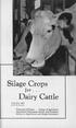 Silage Crops. Dairy Cattle. for.. CiTculaT 463 By W. B. NEVENS