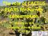 The role of CACTUS PEARS for human consumption