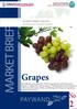 MARKET BRIEF. Grapes PAYWAND. MARKET BRIEF: GRAPES An Overview of Export Growth