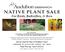 NATIVE PLANT SALE. For Birds, Butterflies, & Bees