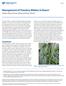 Management of Powdery Mildew in Beans 1