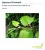 Japanese Knotweed. Ecology Technical Information Note No. 04. October 2011