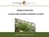 Smiljana Goreta Ban Current status of Allium collection in Croatia