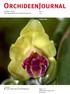 OrchideenJournal. Publisher: V.D.O.F. Vereinigung Deutscher Orchideenfreunde e.v. Vol Vanilla raabii
