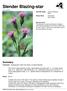 Slender Blazing-star. Summary. Protection Endangered in New York State, not listed federally.