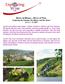 Rivers of History Rivers of Wine Exploring the Danube, the Rhine, and the Mosel JULY 3-13, 2017