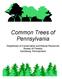 Common Trees of Pennsylvania. Department of Conservation and Natural Resources Bureau of Forestry Harrisburg, Pennsylvania