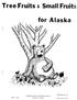 ree Fruits aska Publication No. 38 COOPERATIVE EXTENSION SERVICE University of Alaska Alan C. Epps Reprint June \975