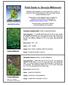 Field Guide to Georgia Milkweeds