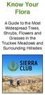 Know Your Flora. A Guide to the Most Widespread Trees, Shrubs, Flowers and Grasses in the Truckee Meadows and Surrounding Hillsides