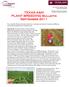 TEXAS A&M PLANT BREEDING Bulletin September 2011