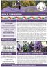 RETAIL NEWSLETTER NEWS & EVENTS COMING SOON TRADING HOURS SOCIAL MEDIA ABOUT WARRATINA LAVENDER FARM