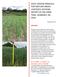 COOL-SEASON ANNUALS FOR PASTURE-BASED LIVESTOCK SYSTEMS: REPORT OF ON-FARM TRIAL, ROXBORO, NC, 2016