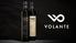 VOLANTE GROUP. A fresh way to look at the past by building on the future.