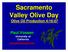 Sacramento Valley Olive Day