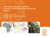 CARE Ethiopia's Nutrition at the Center: Contribution of Wild Edible Plants to Nutrition and Resilience
