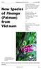 New Species of Pinanga (Palmae) from Vietnam