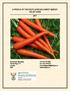 A PROFILE OF THE SOUTH AFRICAN CARROT MARKET VALUE CHAIN 2017