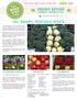 *next market news edition: october 26th* ... fall Organic vegetable update ... og apples