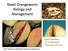 Navel Orangeworm Biology and Management