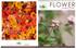 FLOWER. product guide. Nasturtium Flowers Harvested to Order The Chef s Garden