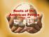 Roots of the American People. Prehistory 1500 Part II