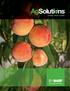 Stone Fruit Protection Solutions