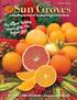 Season. Celebrating 83 Years Of Sending Florida s Finest Citrus! Toll-Free