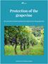 Protection of the grapevine
