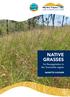 NATIVE GRASSES. for Revegetation in the Townsville region NANETTE HOOKER