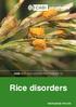 CABI PEST AND DISEASE PHOTOGUIDE TO. Rice disorders KNOWLEDGE FOR LIFE