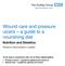 Wound care and pressure ulcers a guide to a nourishing diet