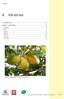 4. Varieties. Introduction Lemon varieties