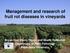 Management and research of fruit rot diseases in vineyards