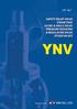 YNV Corperation Vision