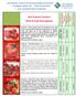 Red Tomato Varieties Plant & Fruit Descriptions