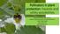 Pollinators in plant protection: hazards and utility possibilities