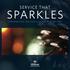 SPARKLES SERVICE THAT. Christmas AND NEW YEAR At HILTON AVISFORD PARK