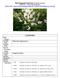 TAXONOMY. ASAB Astragalus aboriginorum Richardson. Astragalus aboriginorum Richardson var. fastigiorum M.E. Jones