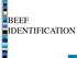 NEXT BEEF IDENTIFICATION