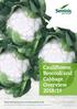 Cauliflower, Broccoli and Cabbage Overview 2018/19 Keep moving forward at